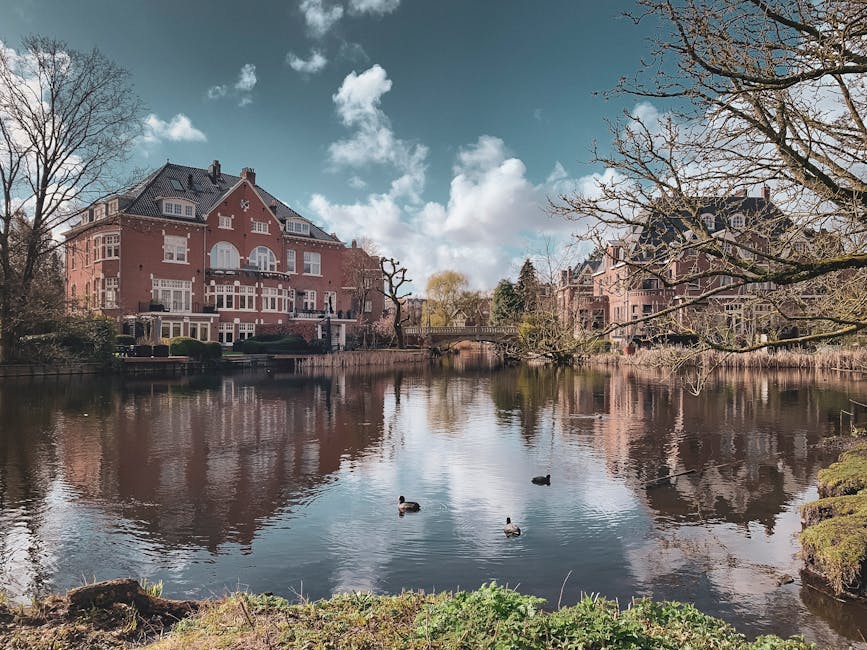 A view of a tranquil canal in Holland Park, with reflections of large, multi-storey brick and stone residential buildings lining the waterway. The buildings feature bay windows, pitched roofs, and decorative architectural details. Leafless trees extend over the canal on both sides, with some branches hanging over the water. Three ducks are swimming on the calm surface of the canal, and the sky above shows a mix of clouds and blue patches. In the foreground, there is a grassy bank with some small plants, indicating a peaceful residential area where home relocation or furniture transport could be part of moving services by Movers Holland Park. The scene captures the quiet, scenic environment typical of Holland Park’s housing and waterways, supporting the context of house removals and packing and moving operations within this neighbourhood.