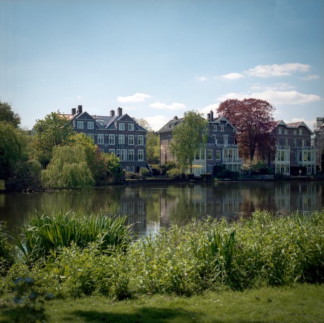 A scenic view of a riverside residential area featuring several multi-storey houses with dark blue and beige exteriors, large windows, and pitched roofs, positioned along the opposite bank of a calm river. The foreground includes lush green vegetation, tall grasses, and small trees along the riverbank, while the background showcases a partly cloudy sky with some scattered clouds. This setting suggests a peaceful neighbourhood typical for house removals and home relocation services, as indicated on the webpage for Movers Holland Park, specializing in removals for Campden Hill homes in Holland Park.
