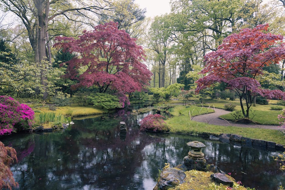 A serene scene of a house removal process taking place in Holland Park, with a view of a small, curved lake surrounded by grass and trees. In the background, a large, white, multi-story building with many windows is visible, along with other residential properties lining the opposite side of the water. Several leafless trees are positioned on a small, grassy island in the middle of the lake, with some trees still holding onto light green and brownish foliage, indicating early spring. The sky is clear and blue, providing bright natural lighting. A portion of a moving company's van, operated by Movers Holland Park, is partially visible on the right-hand side, parked near the property, with cardboard boxes, packing materials, and furniture blankets visible inside the vehicle. This setting depicts the final stages of a home relocation, with furniture and packing items being loaded or transported, supported by equipment such as trolleys and straps, emphasizing professional moving and furniture transport services in a calm, suburban environment.