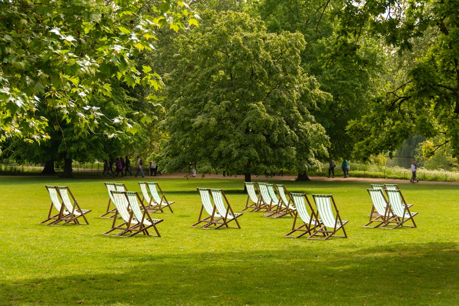 A grassy park area under a canopy of large green trees with broad leaves, featuring eleven wooden deck chairs with light green and white striped fabric seats arranged in staggered rows facing toward the background. The scene is illuminated by natural daylight, with some chairs casting soft shadows on the grass, and a pathway in the distance where several people are walking. The greenery and open space suggest a tranquil outdoor setting, possibly used for relaxation during a home relocation or outdoor event, and reflects the tranquil environment associated with moving logistics involving furniture transport and packing preparations, as seen for instance with companies like Movers Holland Park involved in house removals in the Kensington and Chelsea area.